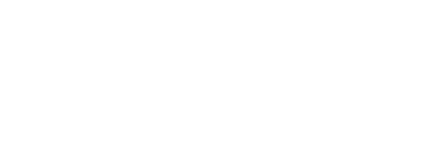 Visual Vanguards